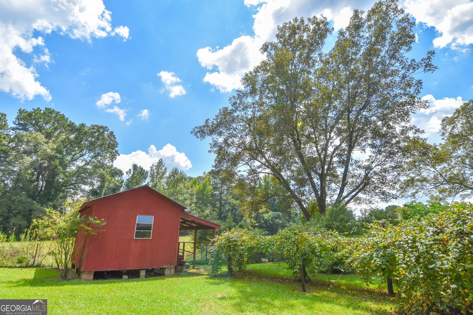 4145 Highway 81 Hampton - 47