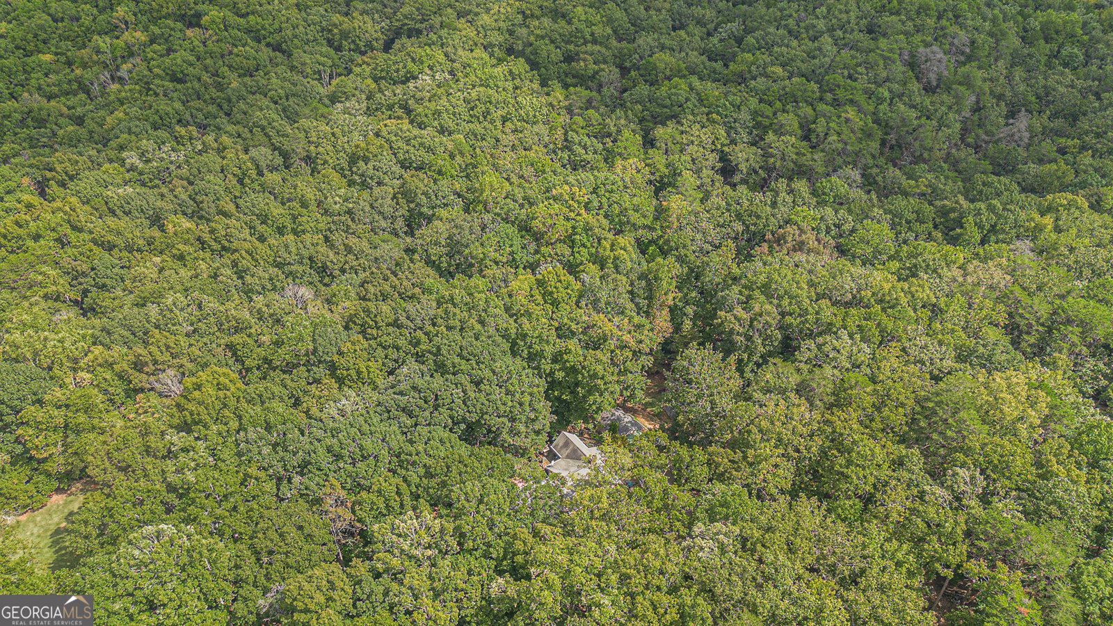 2170 Taylorsville Road Taylorsville - 42