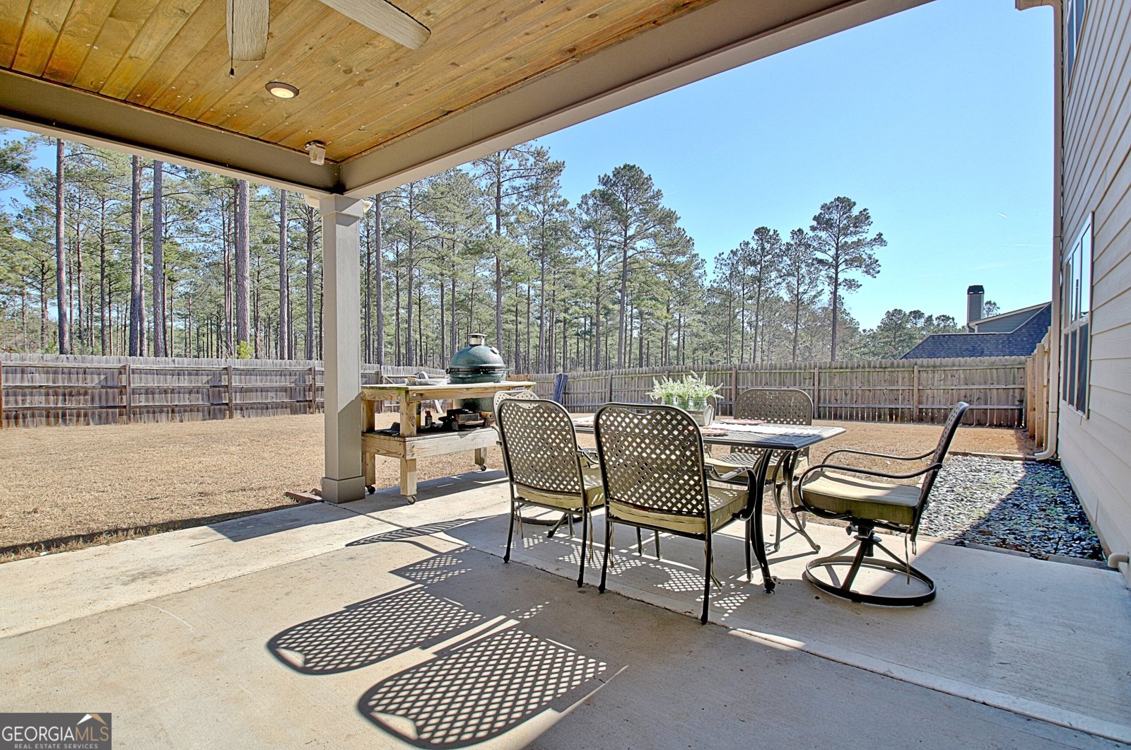 201 Fox Hall Crossing Senoia - 27