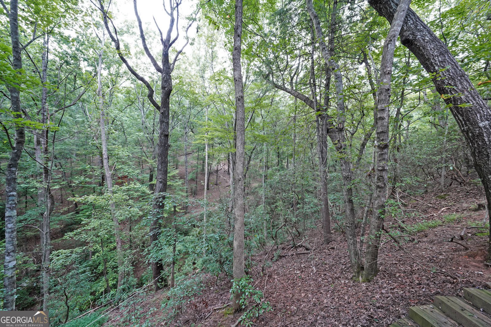 458 Teaberry Lane Jasper - 26