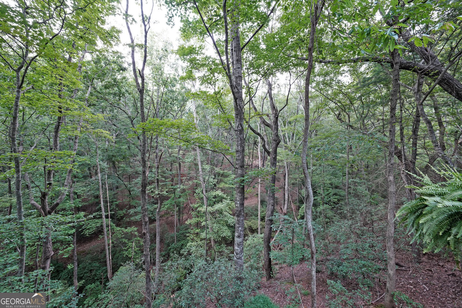 458 Teaberry Lane Jasper - 27