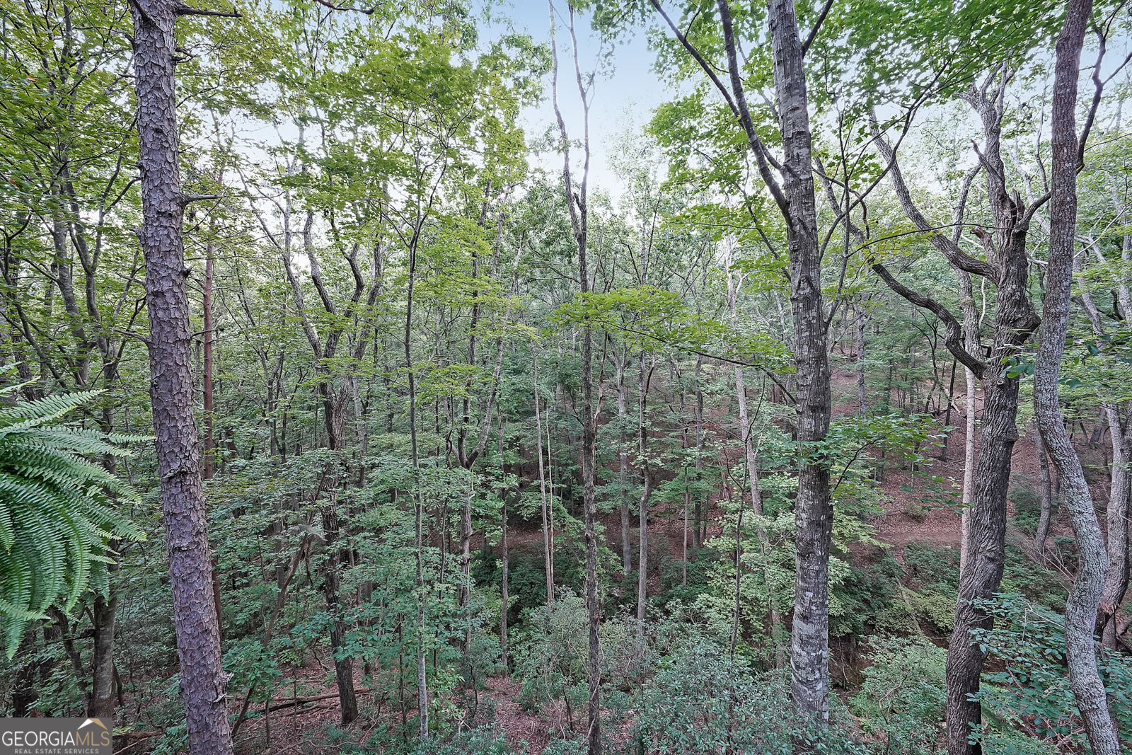 458 Teaberry Lane Jasper - 28