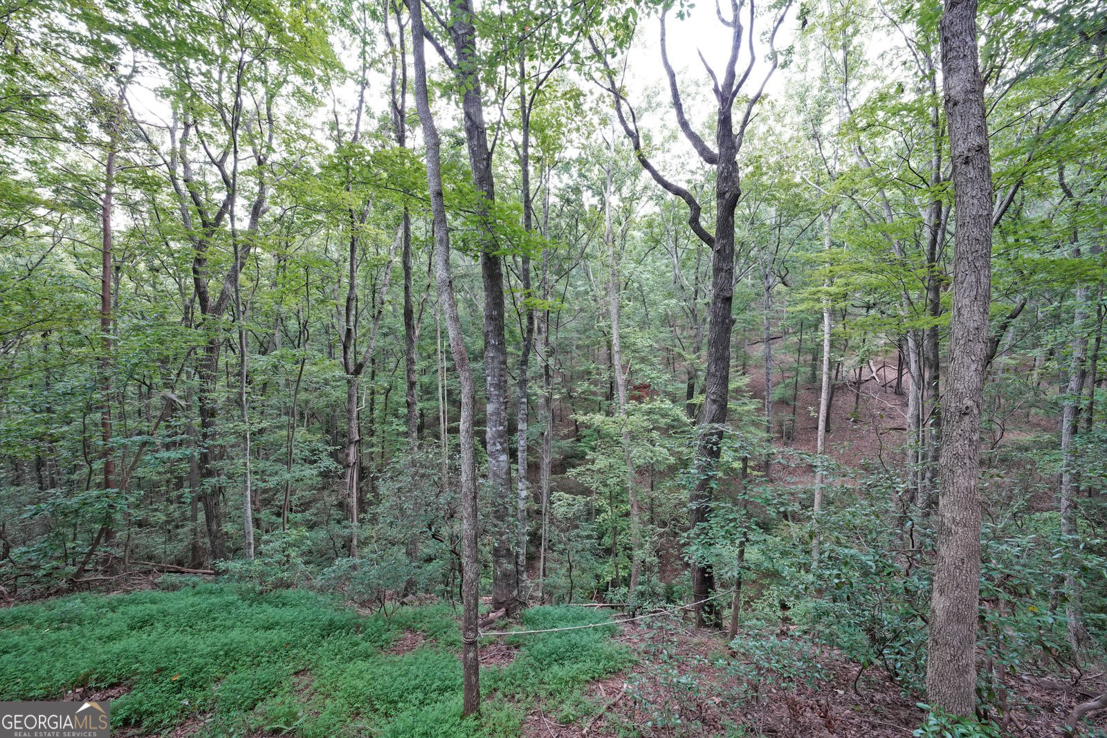 458 Teaberry Lane Jasper - 9