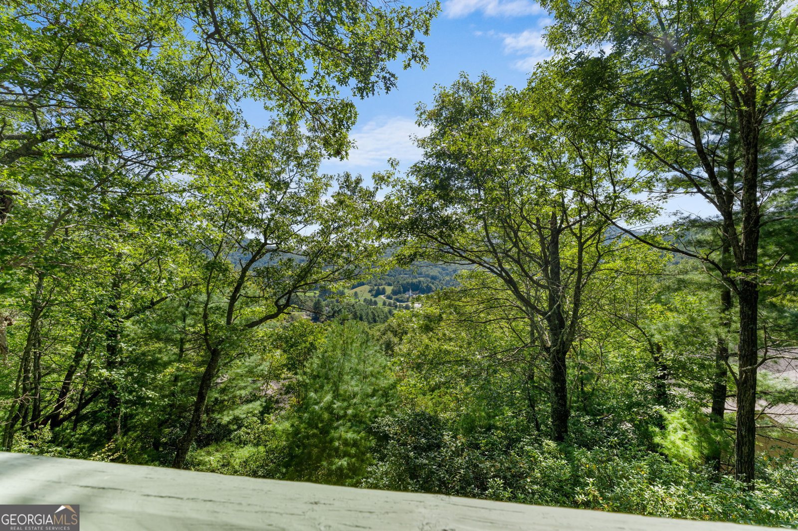 173 Buttermilk Circle Dillard - 19