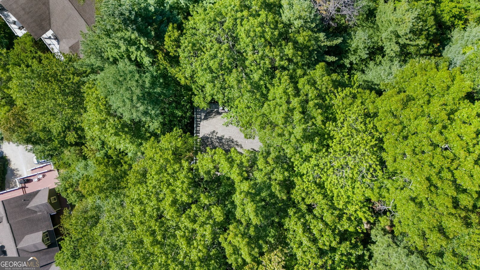 173 Buttermilk Circle Dillard - 4
