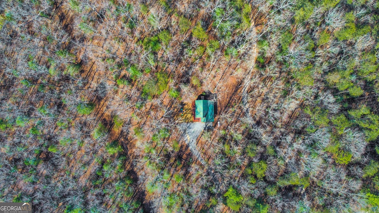 55 Deer Watch Lane Blue Ridge - 37