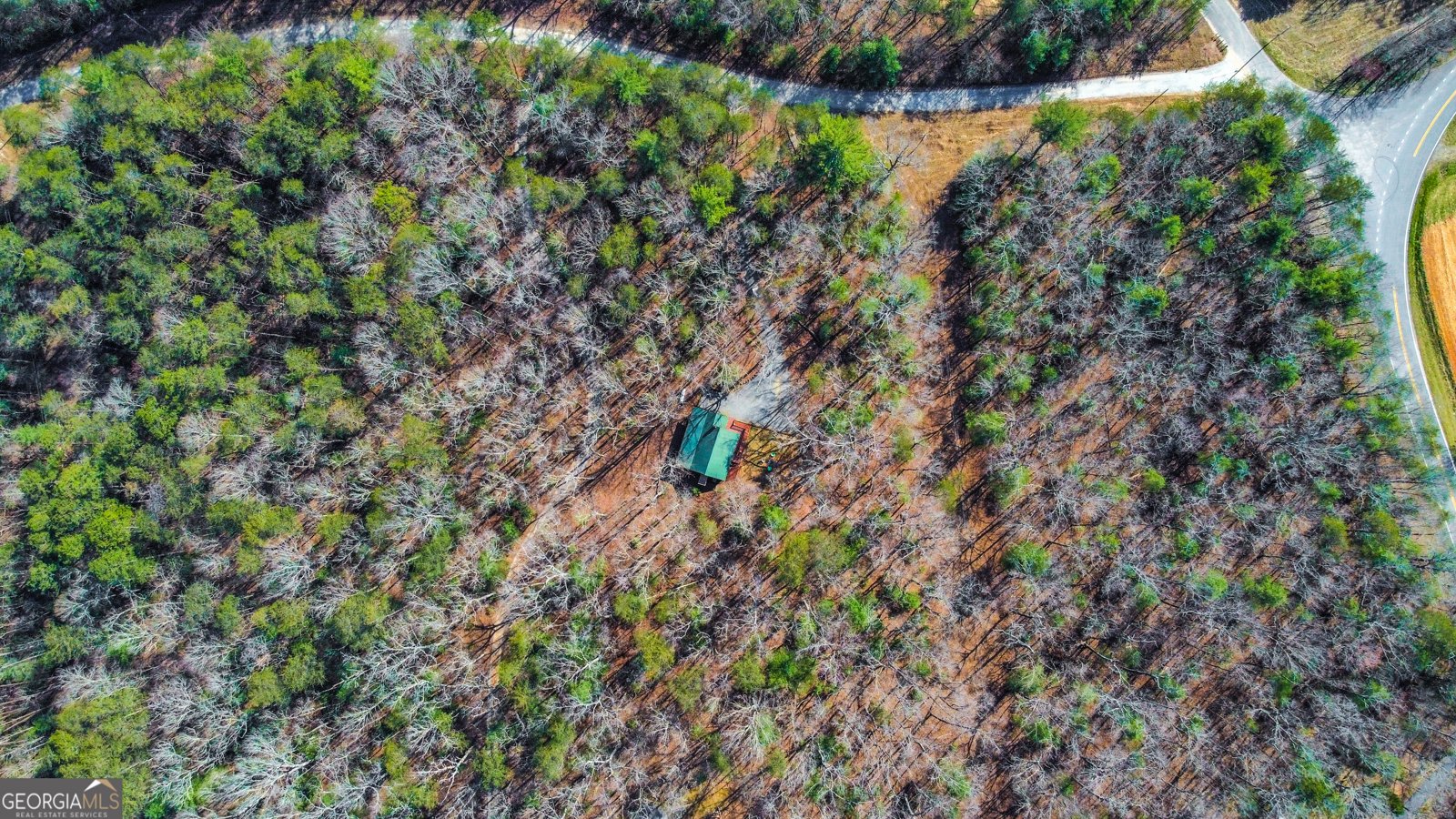 55 Deer Watch Lane Blue Ridge - 38