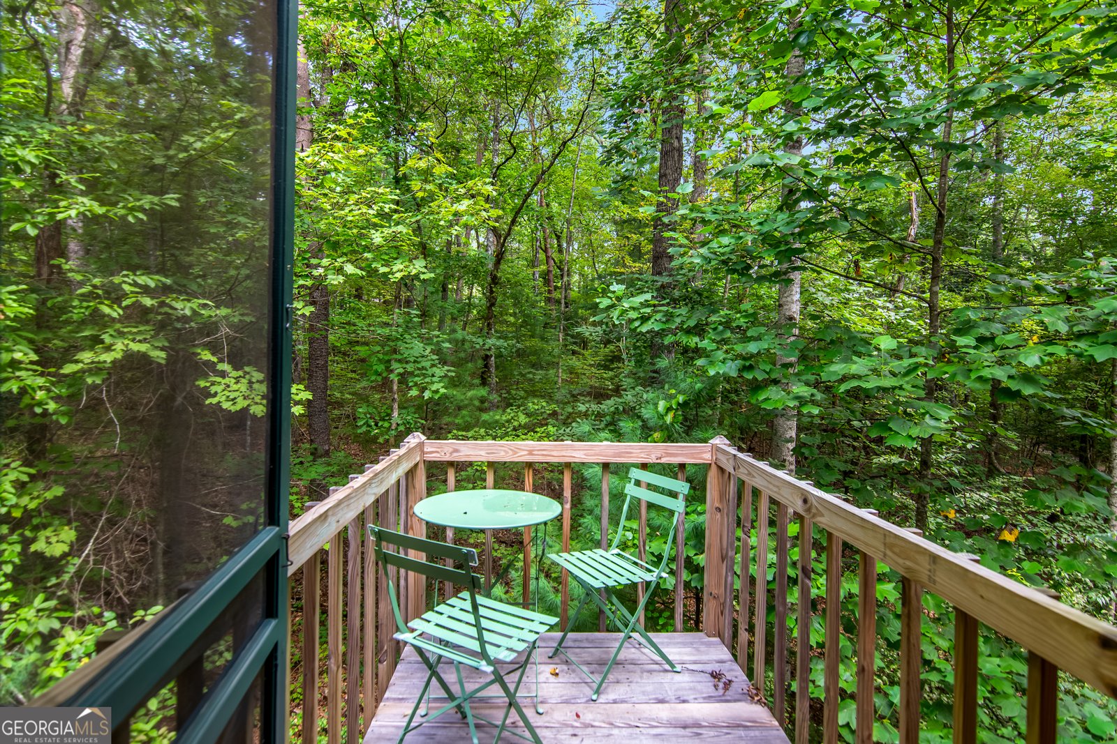 55 Deer Watch Lane Blue Ridge - 6