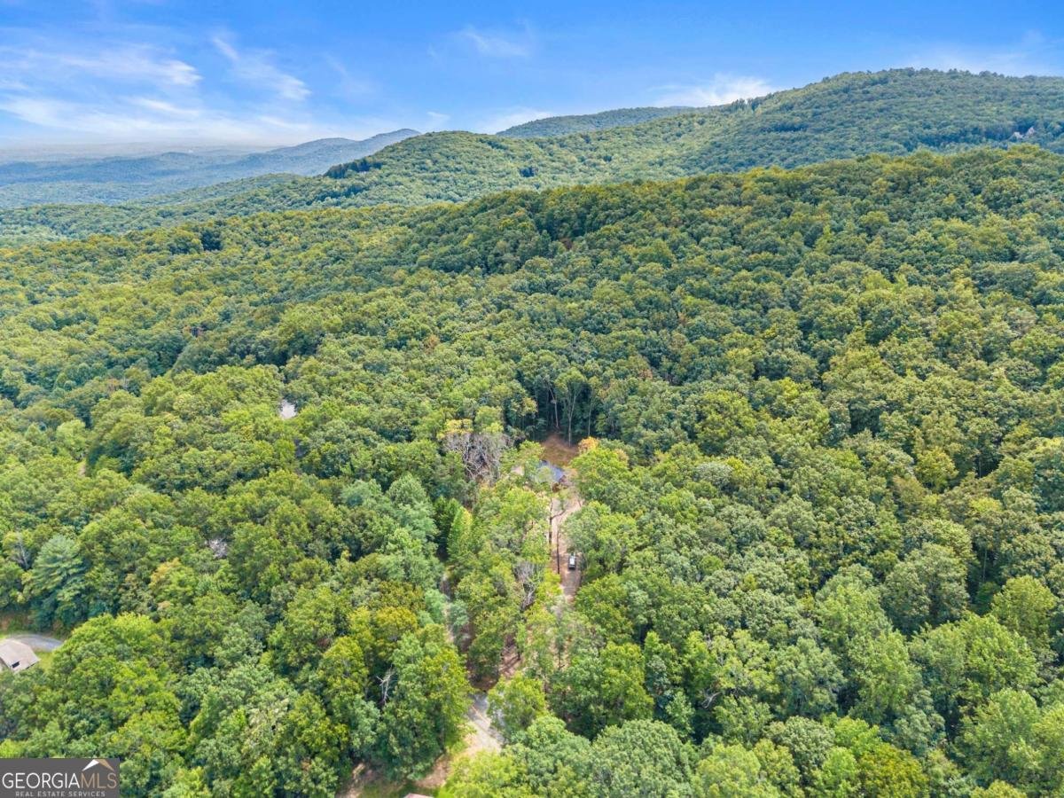 587 Cold Stream Trail Jasper - 36