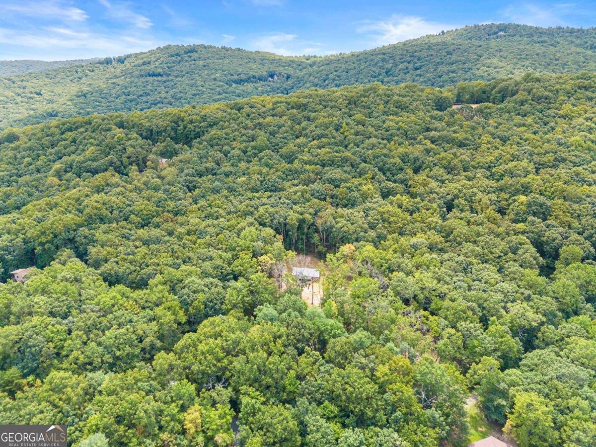 587 Cold Stream Trail Jasper - 37