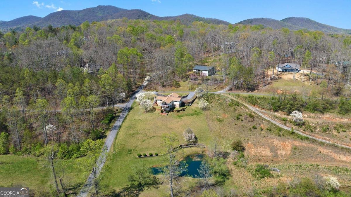 6360 Springwood Trail Young Harris - 41
