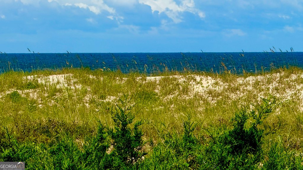 5242 Sea Chase Drive Fernandina Beach - 2