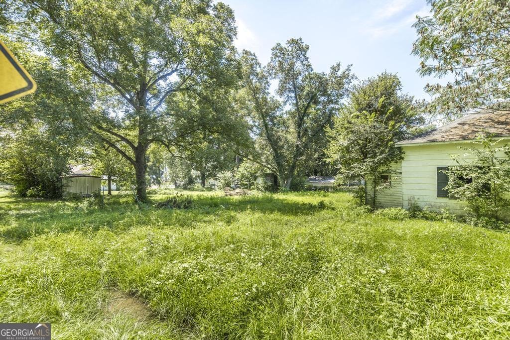 30 Potterville Main Street Reynolds - 5