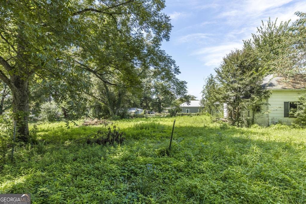 30 Potterville Main Street Reynolds - 7