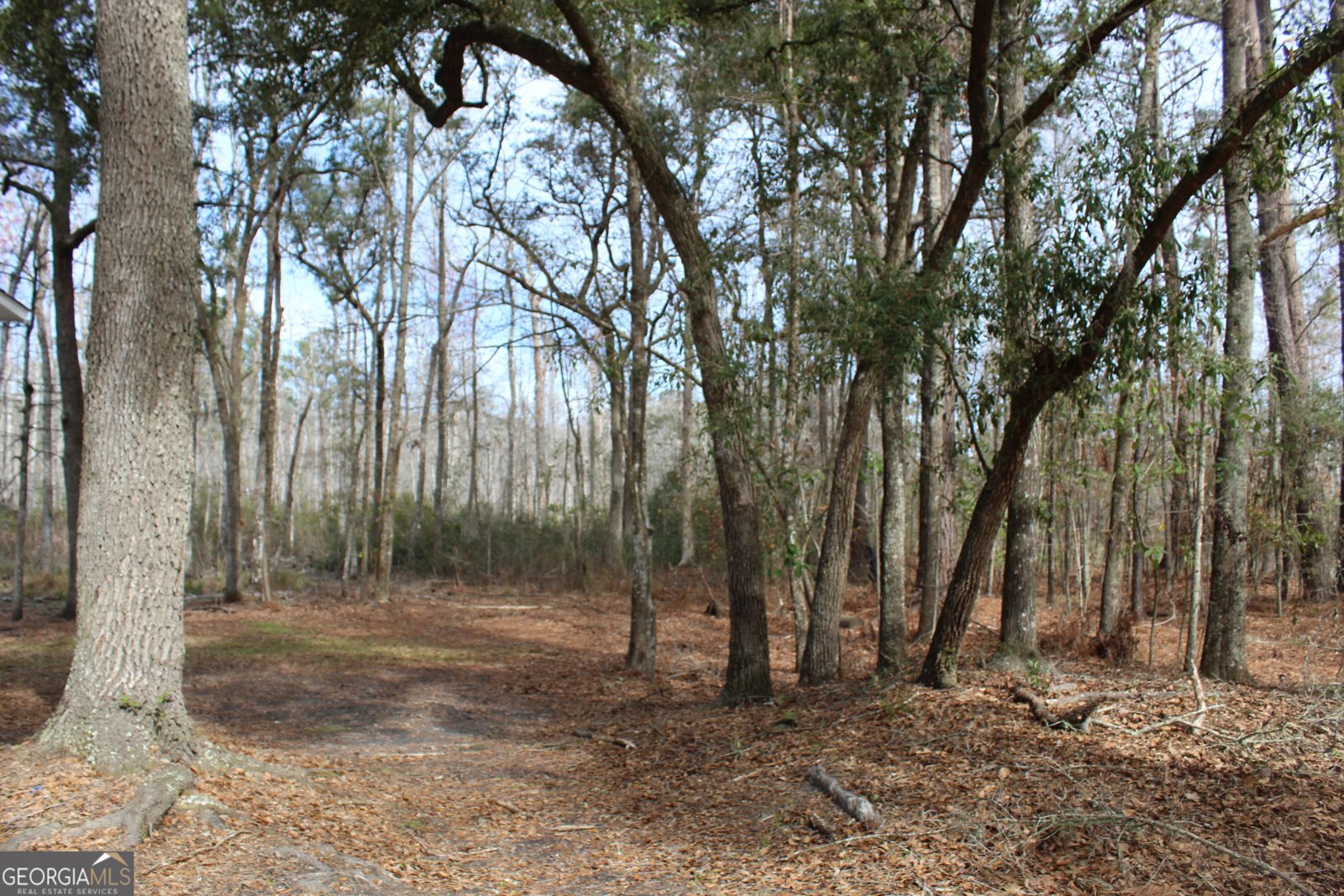 776 Phillips Road Midway - 3
