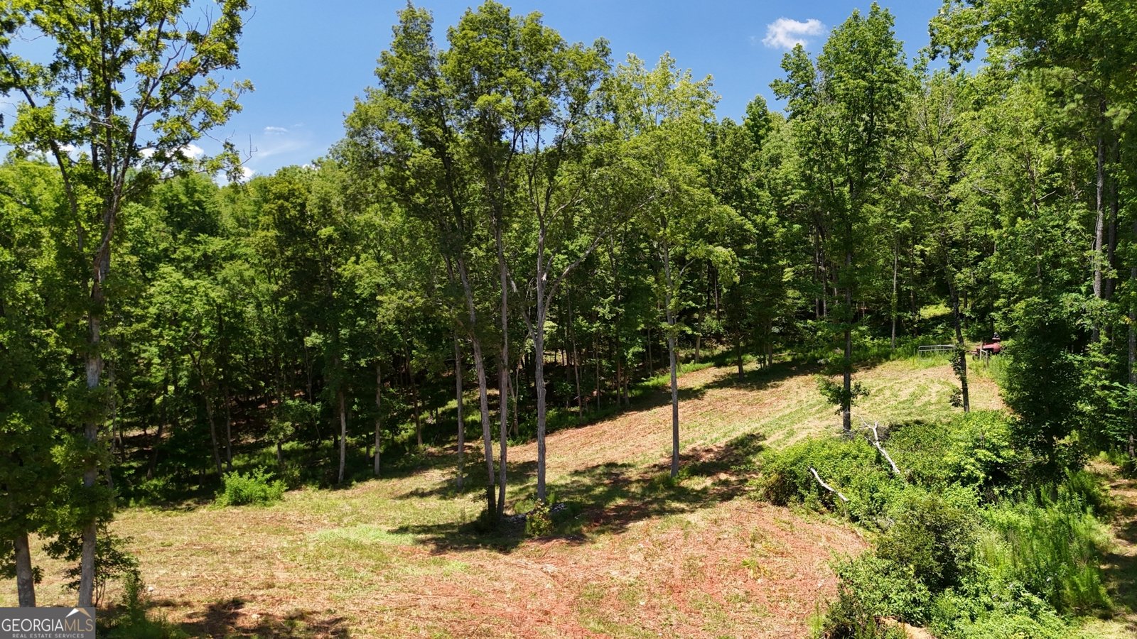 285 Skeet Shoot Road Dallas - 66