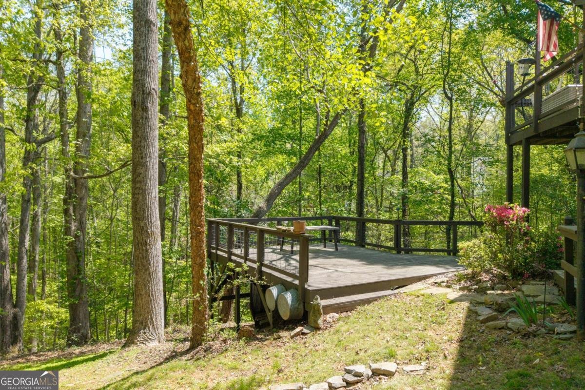 511 Oakdale Road Canton - 64