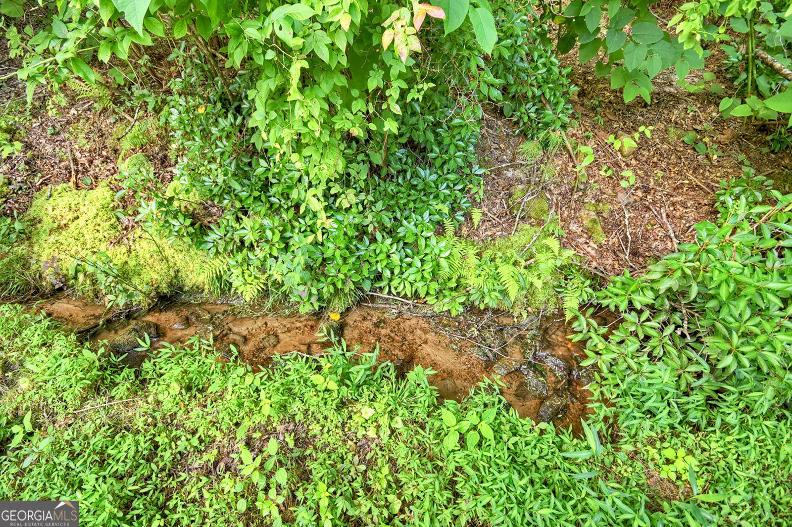 1146 Galloway Road Blue Ridge - 26