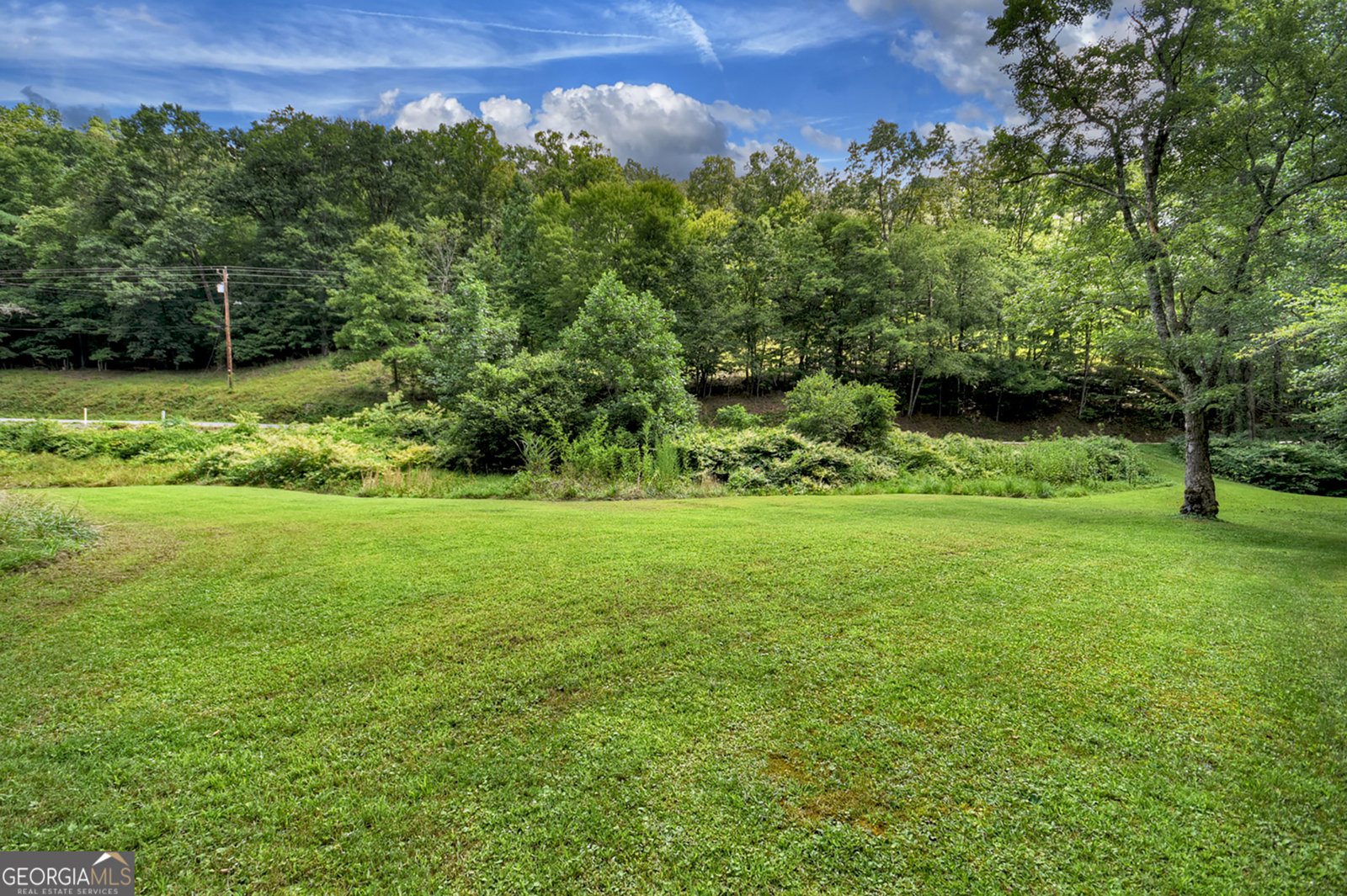 1146 Galloway Road Blue Ridge - 3
