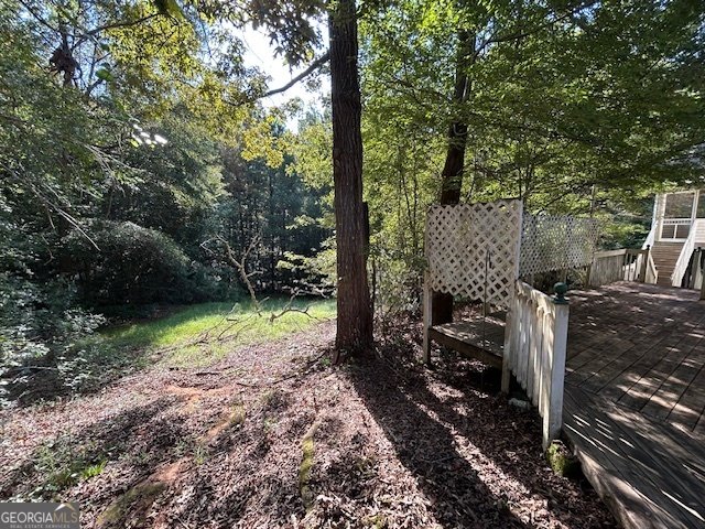 312 Black Willow Court Locust Grove - 26
