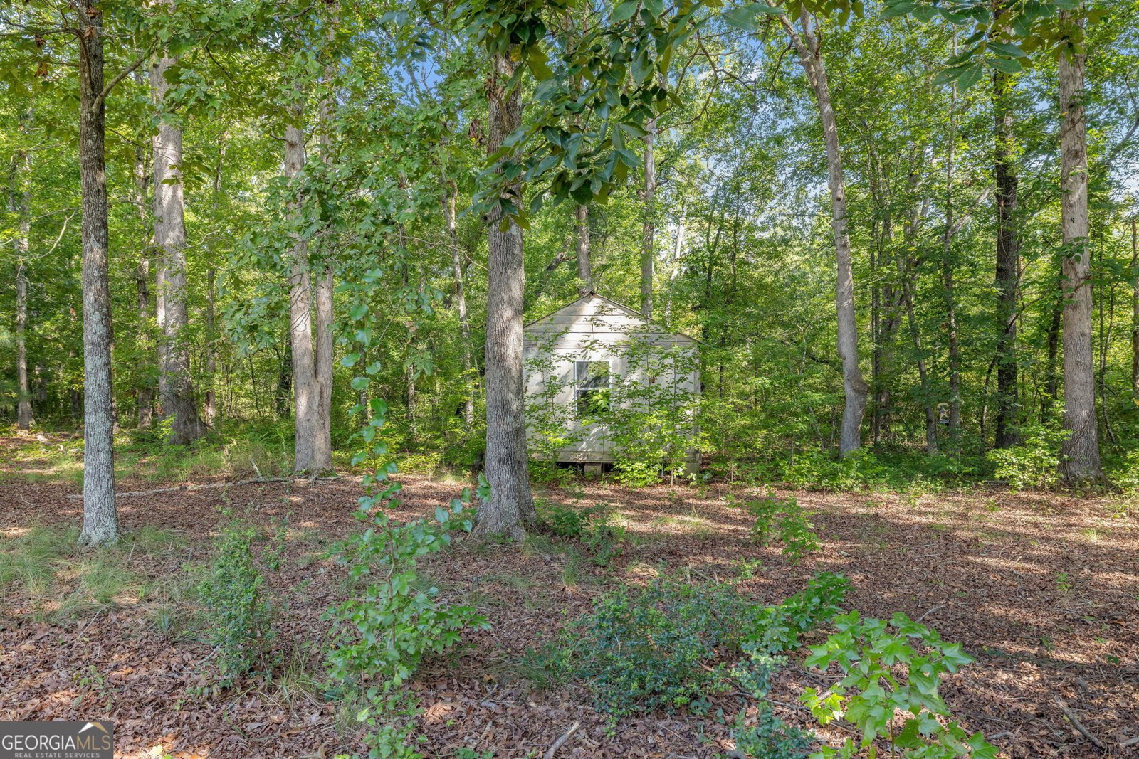 3834 Covered Bridge Place Gainesville - 28