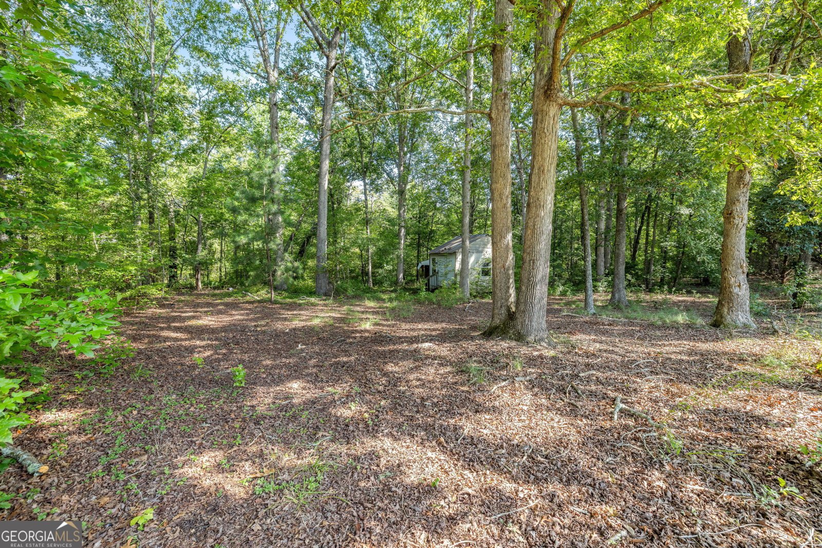 3834 Covered Bridge Place Gainesville - 29