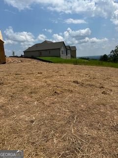 236 Laurel Vista Drive Canton - 11