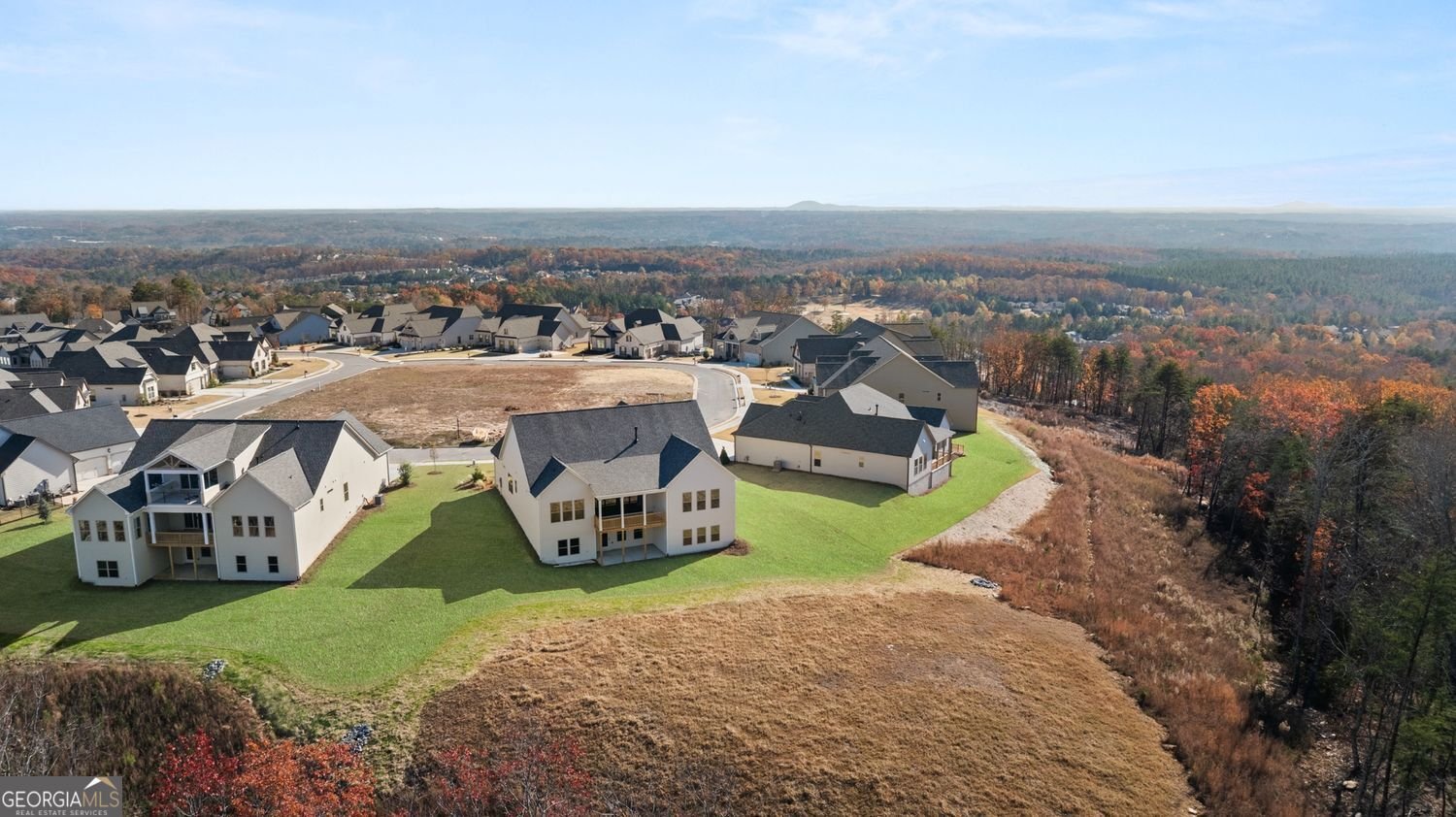 236 Laurel Vista Drive Canton - 60