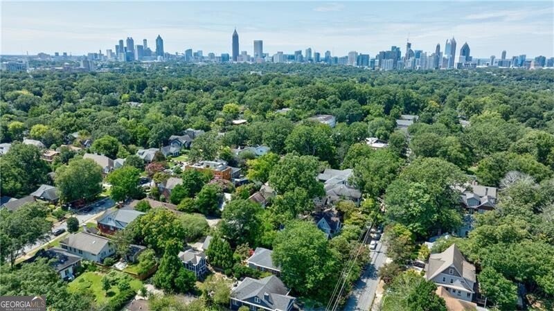 1035 Amsterdam Avenue Atlanta - 50