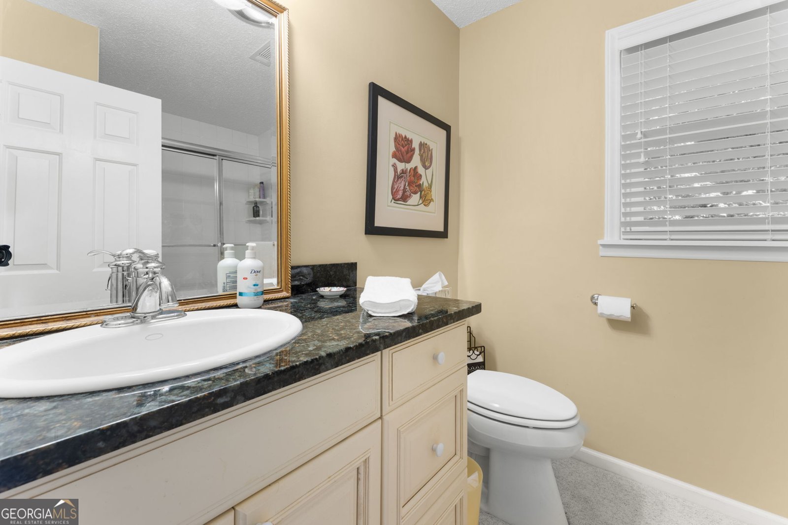 234 Saddleback Circle Dillard - 15
