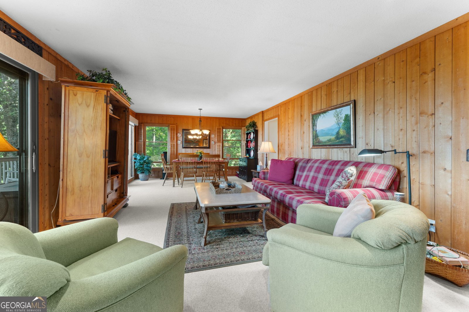 234 Saddleback Circle Dillard - 17