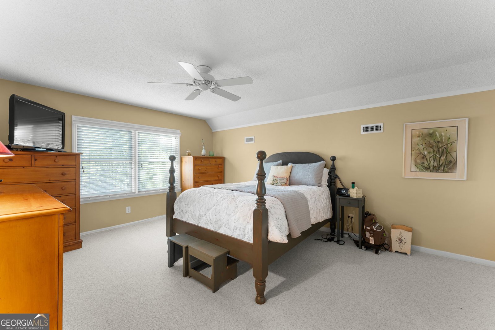 234 Saddleback Circle Dillard - 19
