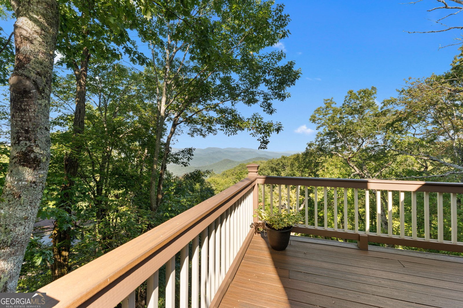 234 Saddleback Circle Dillard - 21