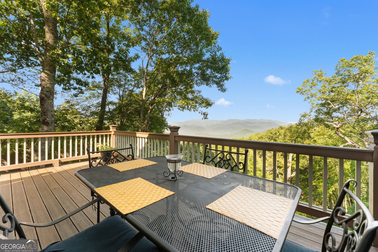 234 Saddleback Circle Dillard - 22