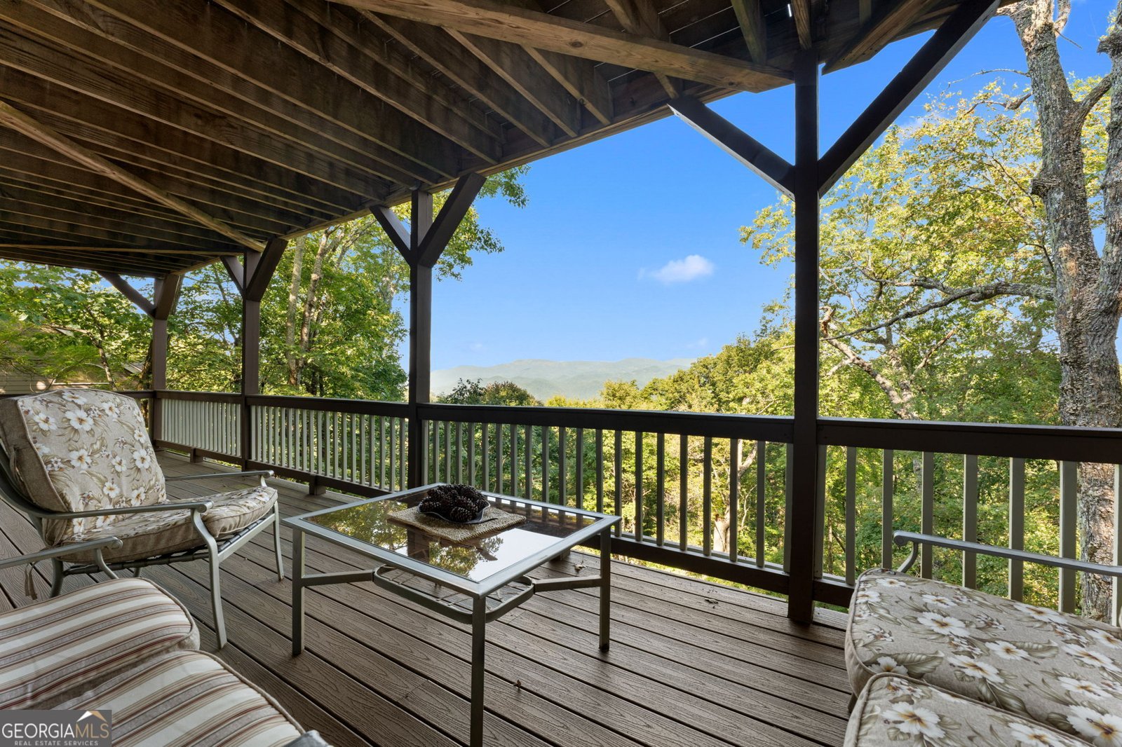 234 Saddleback Circle Dillard - 25