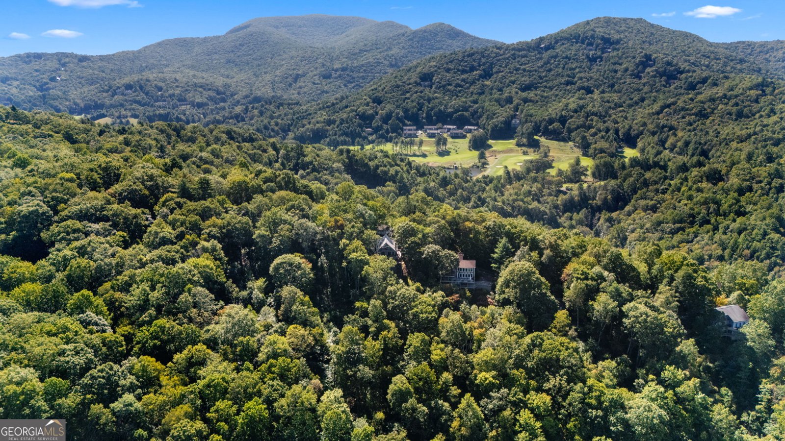234 Saddleback Circle Dillard - 32