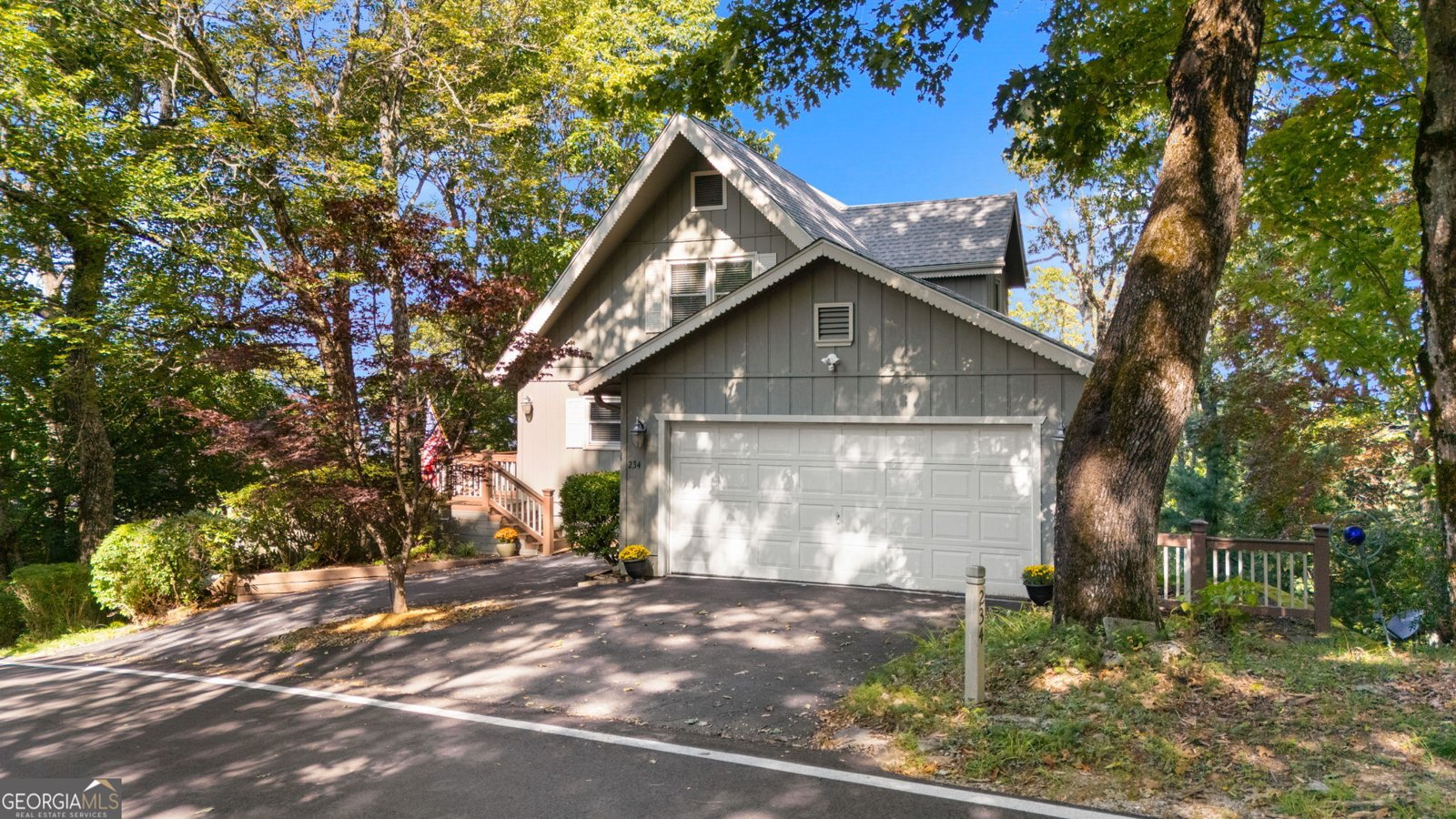 234 Saddleback Circle Dillard - 33