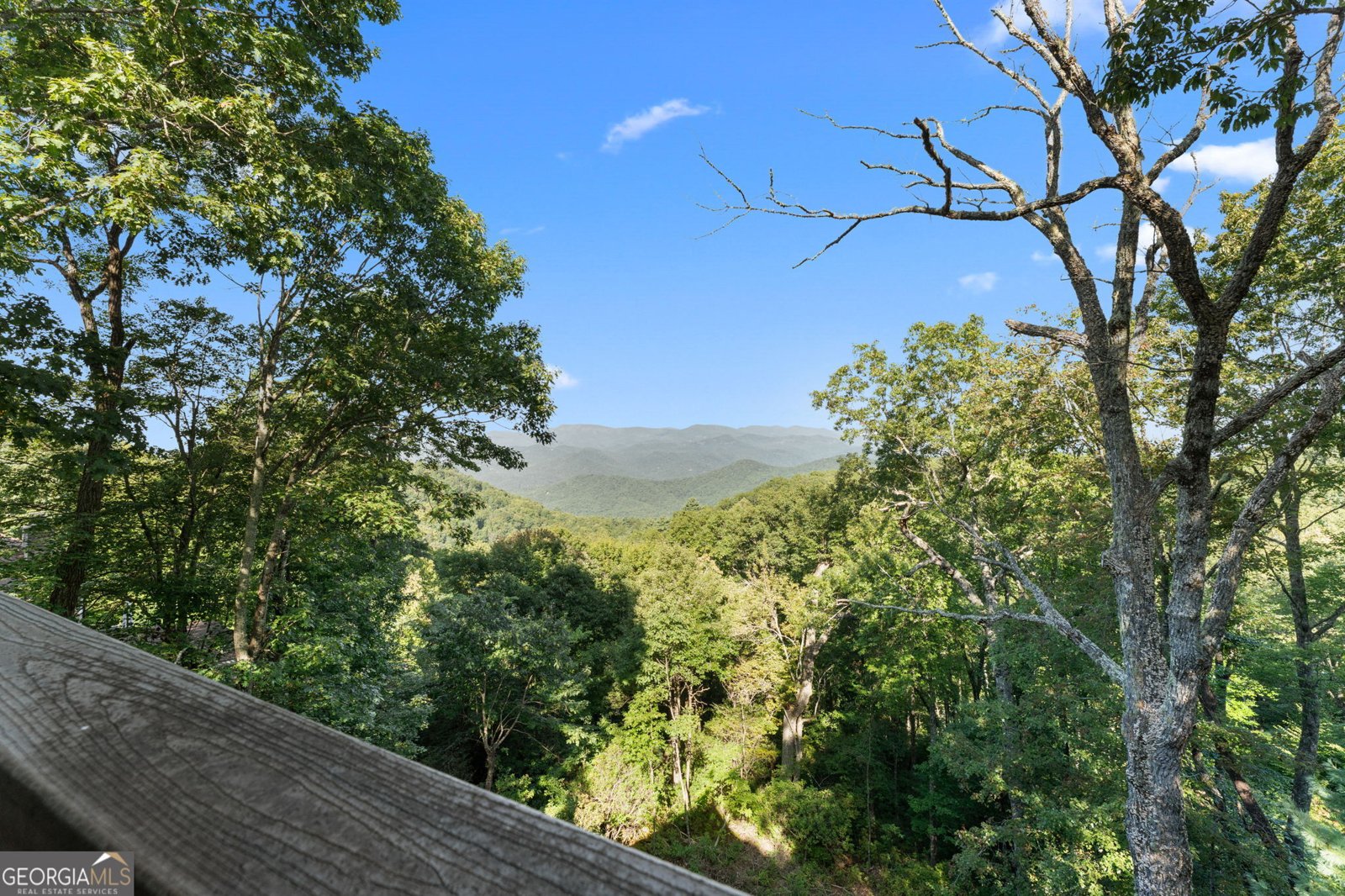 234 Saddleback Circle Dillard - 34
