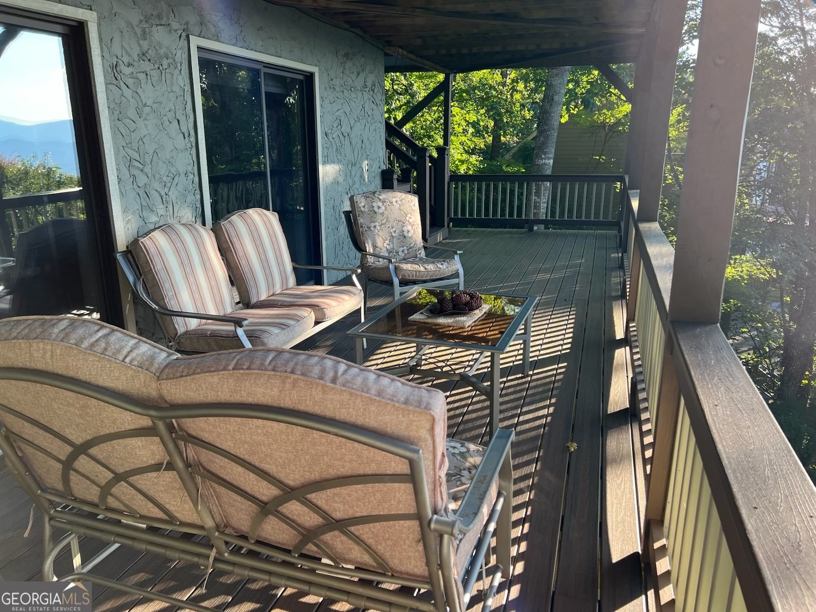 234 Saddleback Circle Dillard - 35