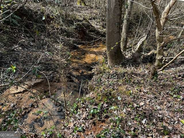 133 Hillandale Street Cornelia - 27