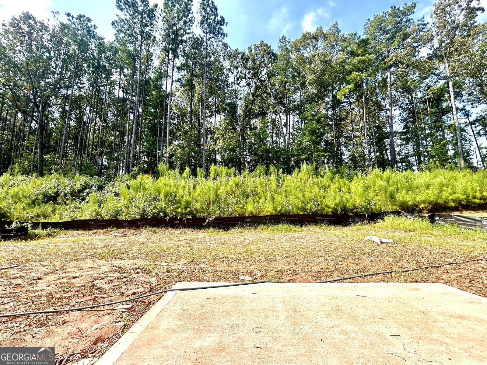 5365 Heron Bay Boulevard Locust Grove - 7