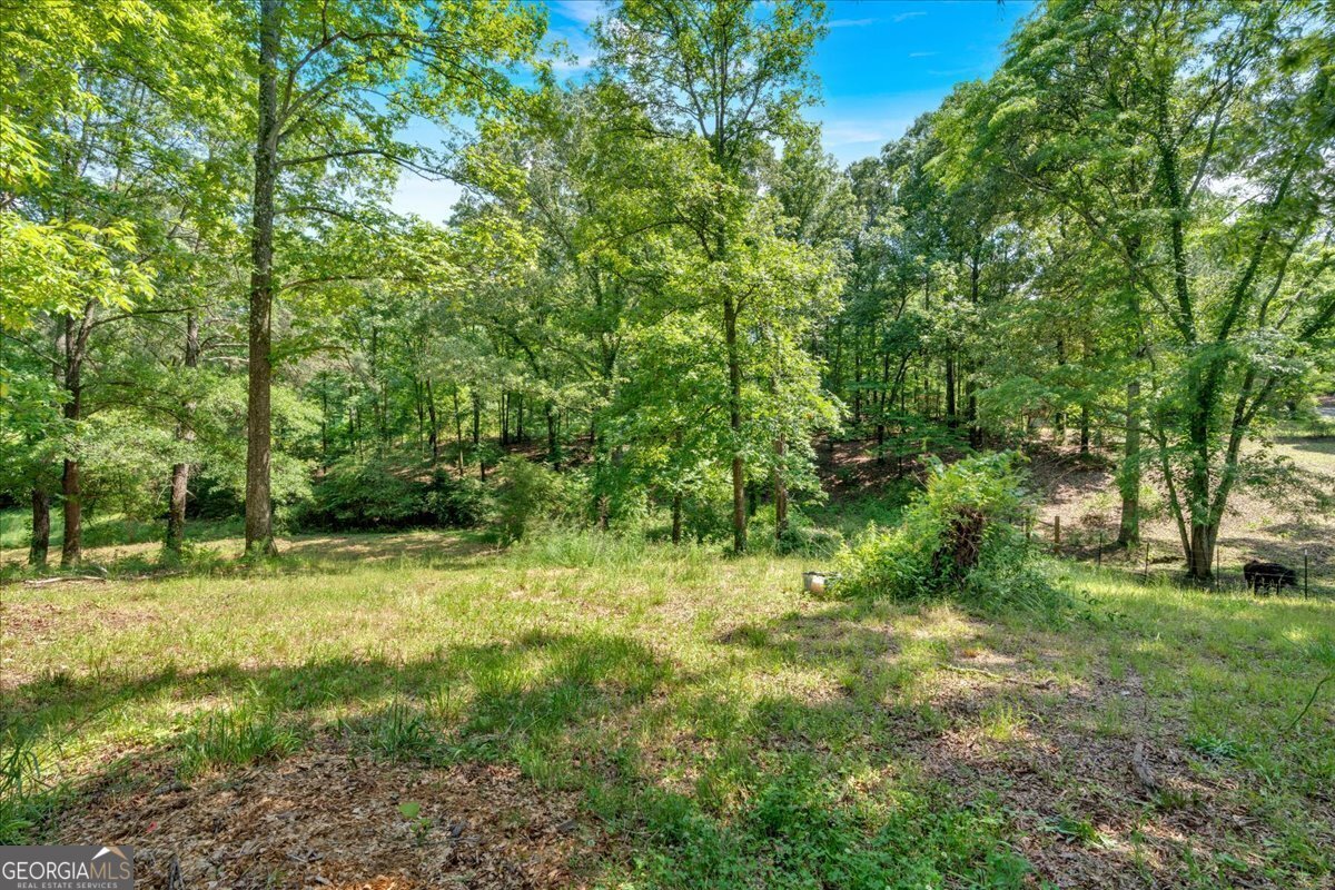 401 Cashtown Loop Road Aragon - 42