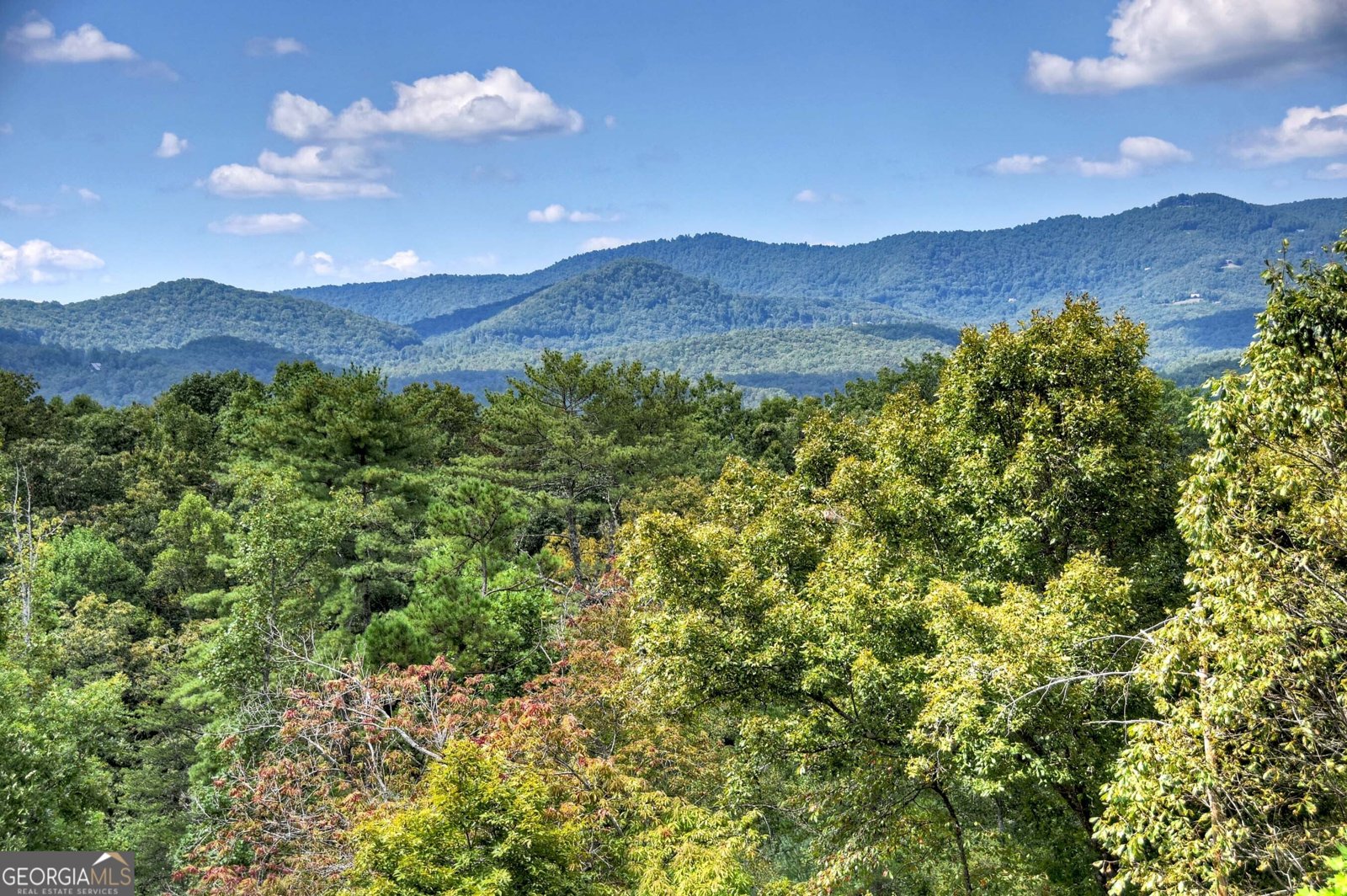 6 Pontoosuc Drive Mineral Bluff - 4