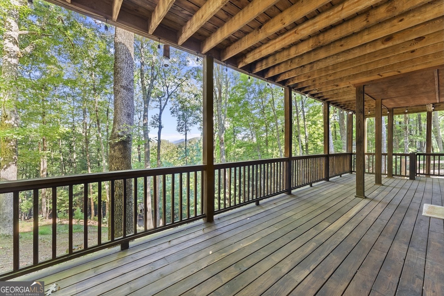 133 Pine Ridge Rd Ellijay - 10