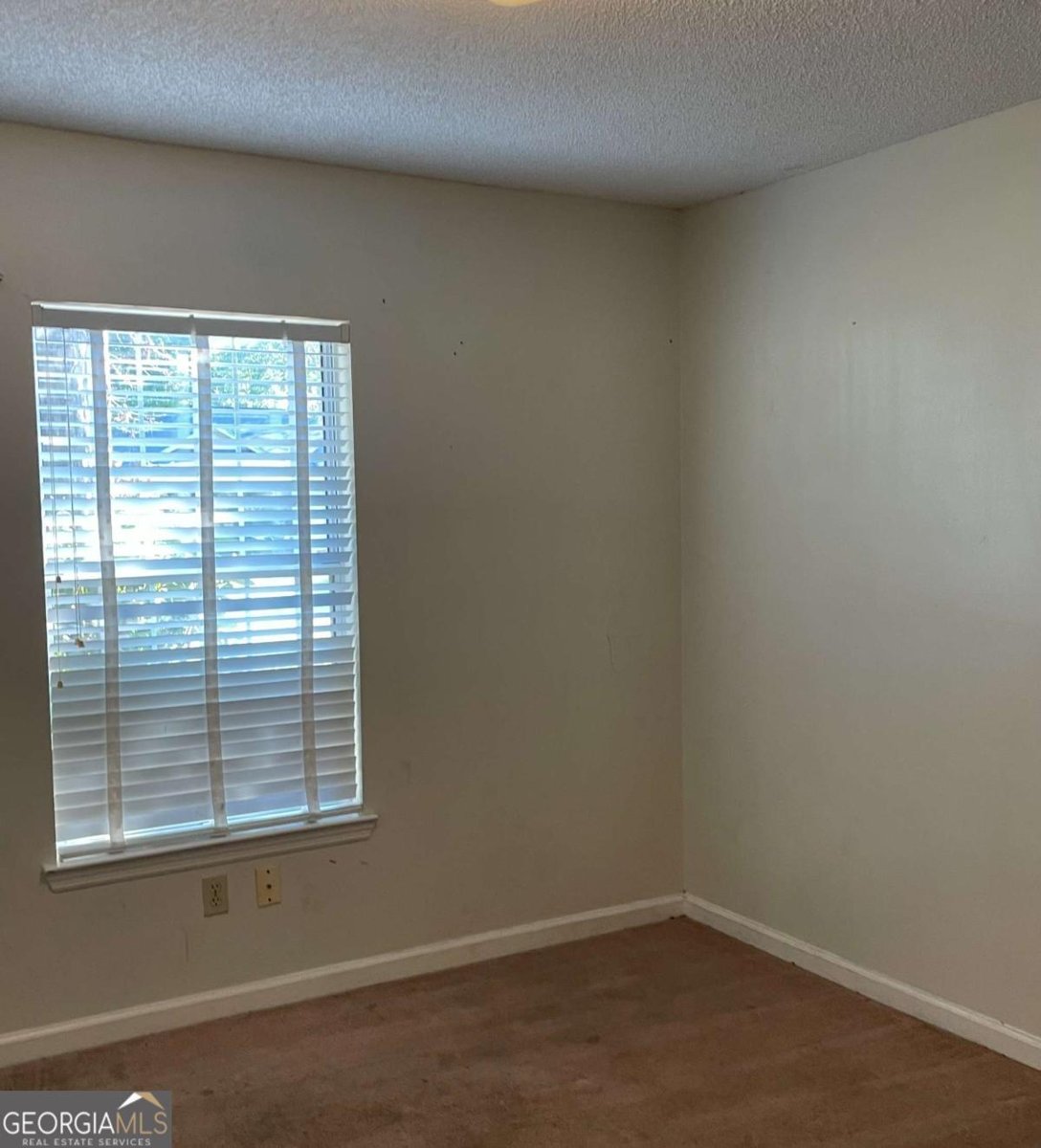 105 Boxwood Court Kingsland - 19