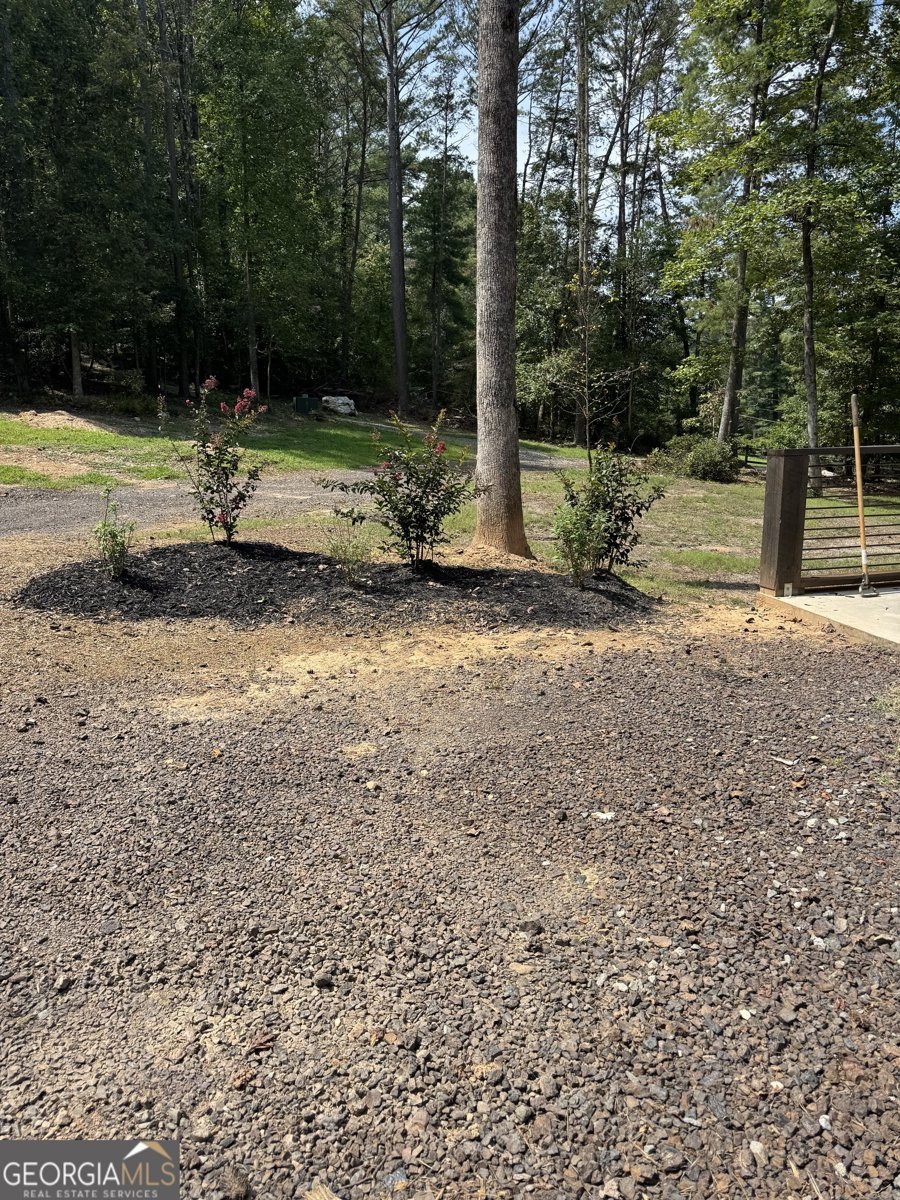 428 Licklog Road Ellijay - 1