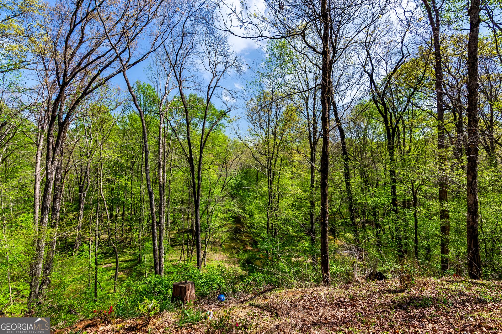 428 Licklog Road Ellijay - 56