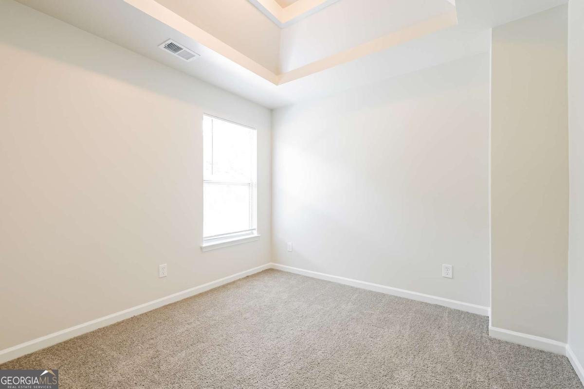 4411 Plum Frost Court Oakwood - 14
