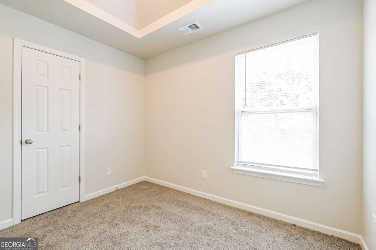 4411 Plum Frost Court Oakwood - 17