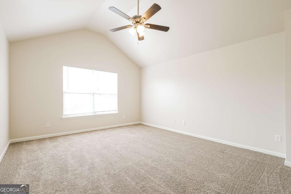 4411 Plum Frost Court Oakwood - 18